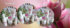 Been Pink New Pack Original BPOM