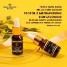 PRIMA PROPOLIS PLUS Original BPOM